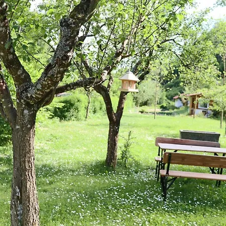Lägenhet Haus Belchenwiese Die Talblick *